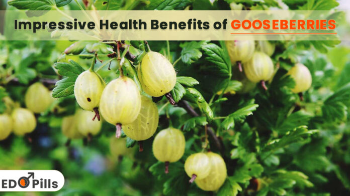 Impressive Health Benefits of Gooseberries