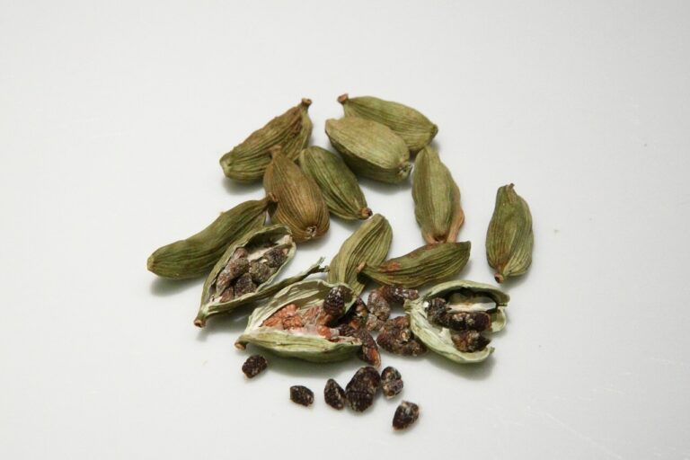 Amazing Cardamom Health Benefits, Uses and Nutrients