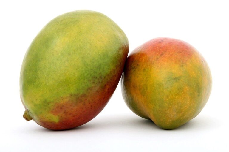 Amazing Benefits of Mango for the Skin Health