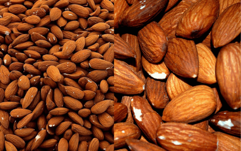 Soaked Almonds Vs Dried Almonds: Which is Better?