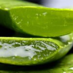 Benefits of Aloe Vera Related to Health and Beauty!