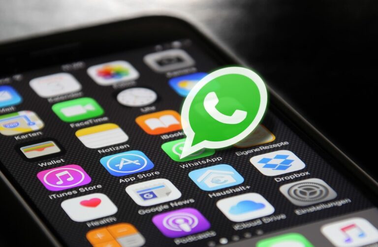 WhatsApp Latest Features: WhatsApp Introduce to PhotoView Sticker Feature